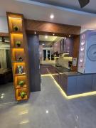 The urban Jungle Oasis