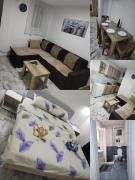 Apartman Ristic Vrnjacka banja