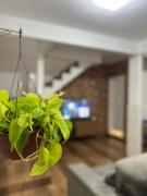 Near Sea Private Shower