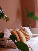 Spacious Eclectic Home Near Sea & Amsterdam