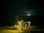 Aegean View Smart Living Suite