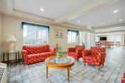 Top Ukiah