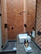 Top San Luis Potosí