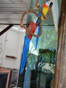 Casa gourmet vista para o mar