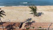 Top Mangalore