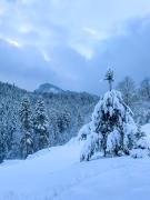 Top Câmpulung Moldovenesc