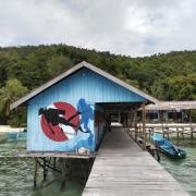 Diving Mansuar and home