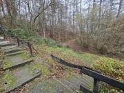 La Mésange Apprivoisée