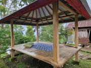 Mona‘s Tiny Djungle House