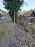 Monteur- und Ferienwohnung Waldrauschen