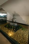 Top Raipur