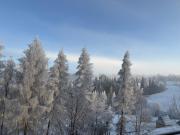 Top Bukowina Tatrzańska