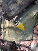 Hotel Finca la Playa