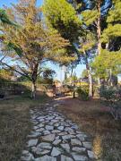 Top San Vicente del Raspeig