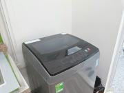 Cẩm Tú Cầu 101TK21