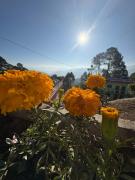 Ramashrya Homestay & cafe