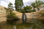Top Escalante