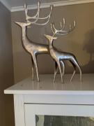 Arctic villa near Santa Park