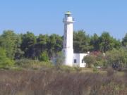 Top Kalandra Top Kalandra