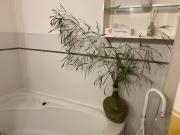 Top Le Viviers-du-Lac