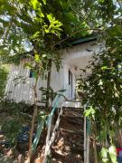 Top Koh Rong