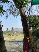 Hampi Nature Cottage