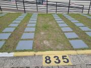 Top Cachoeira Paulista