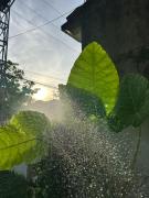 Captains Home Phong Nha