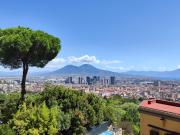 Top Naples