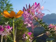 La Pan Tan Eco Lodge - Mu Cang Chai