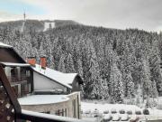 Pine forest apartments