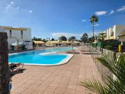 VV Tropical Sun and Palm "by henrypole home"