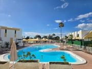 VV Tropical Sun and Palm "by henrypole home"