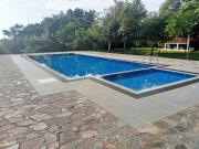 Seeing Green Udawalawa