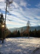 Apartment Panorama Val di Non