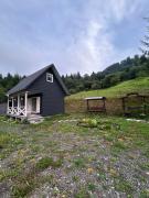 Будинок на горі Борщевиця