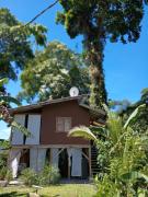 Jungle Tree House TOP HILL