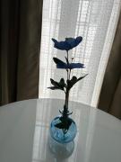 Top El Puerto de Santa María