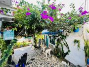 Cabaña 65 El Descanso Doradal