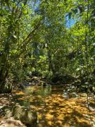 Casa na Mata Atlântica Sertão do Ubatumirim