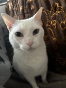 Habitación privada en departamento compartido