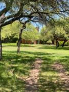 Las Luciernagas de Nono