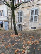 Appartement cosy centre ville