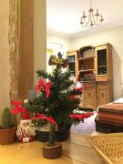 Komilfo Boutique-apart