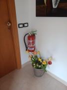 Top Santa Maria di Castellabate