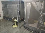 Kalaland camp patong