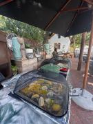 Top Hout Bay