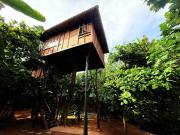 Tree House Mirissa