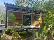 Moon Jungle Bungalows