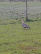 Espacio zen puerto varas